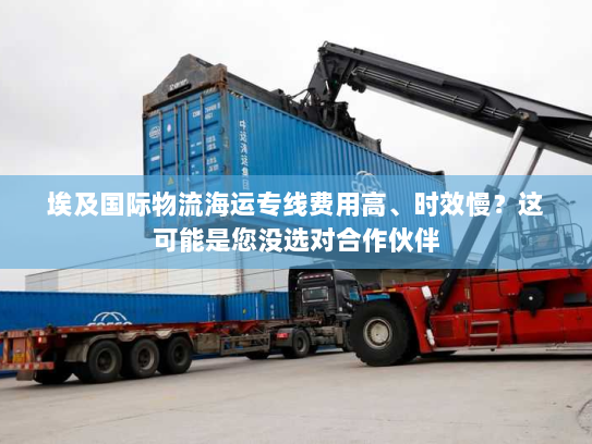 埃及国际物流海运专线费用高、时效慢?这可能是您没选对合作伙伴 埃及国际物流海运专线费用高、时效慢?这可能是您没选对合作伙伴