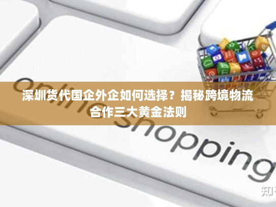 深圳货代国企外企如何选择？揭秘跨境物流合作三大黄金法则