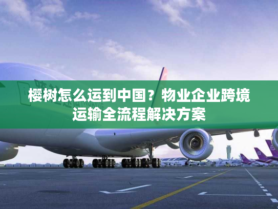 樱树怎么运到中国?物业企业跨境运输全流程解决方案 樱树怎么运到中国?物业企业跨境运输全流程解决方案
