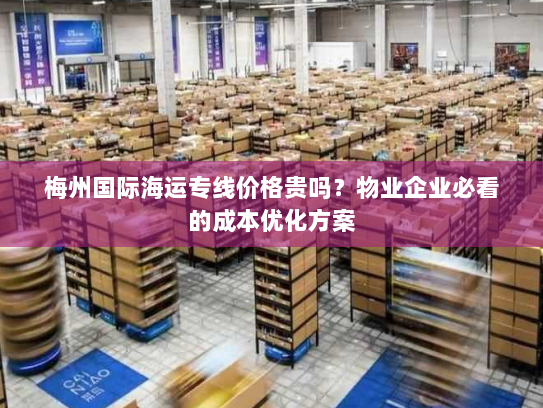 梅州国际海运专线价格贵吗?物业企业必看的成本优化方案 梅州国际海运专线价格贵吗?物业企业必看的成本优化方案