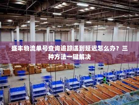 盛丰物流单号查询追踪遇到延迟怎么办?三种方法一键解决 盛丰物流单号查询追踪遇到延迟怎么办?三种方法一键解决