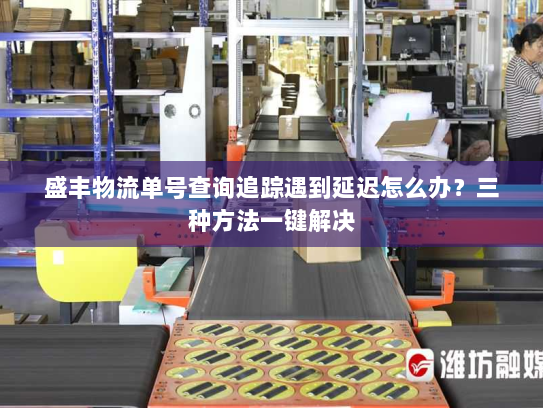 盛丰物流单号查询追踪遇到延迟怎么办?三种方法一键解决 盛丰物流单号查询追踪遇到延迟怎么办?三种方法一键解决
