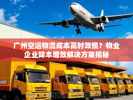 广州空运物流成本高时效慢?物业企业降本增效解决方案揭秘 广州空运物流成本高时效慢?物业企业降本增效解决方案揭秘
