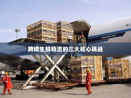 跨境生鲜物流的三大核心挑战 跨境生鲜物流的三大核心挑战