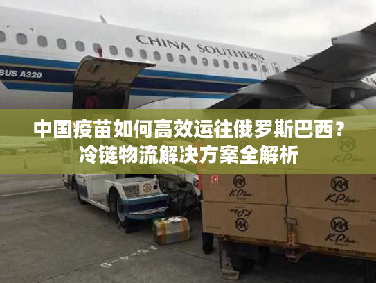 中国疫苗如何高效运往俄罗斯巴西？冷链物流解决方案全解析