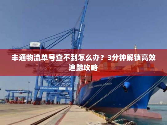 丰通物流单号查不到怎么办？3分钟解锁高效追踪攻略