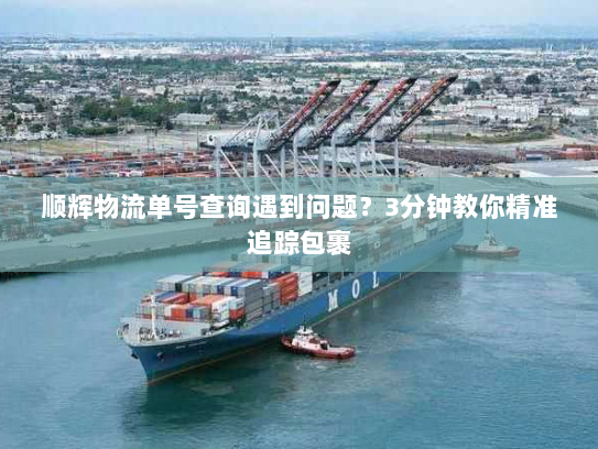 顺辉物流单号查询遇到问题?3分钟教你精准追踪包裹 顺辉物流单号查询遇到问题?3分钟教你精准追踪包裹