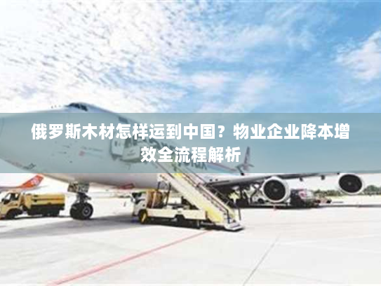 俄罗斯木材怎样运到中国?物业企业降本增效全流程解析 俄罗斯木材怎样运到中国?物业企业降本增效全流程解析
