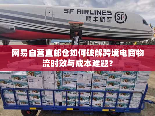 网易自营直邮仓如何破解跨境电商物流时效与成本难题? 网易自营直邮仓如何破解跨境电商物流时效与成本难题?