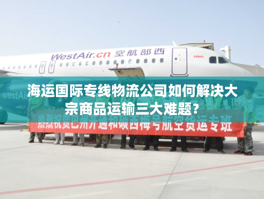 海运国际专线物流公司如何解决大宗商品运输三大难题？