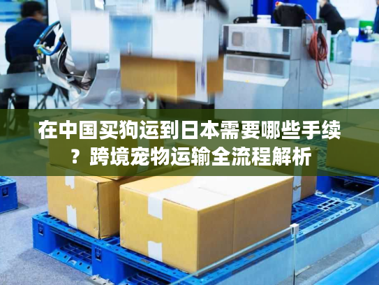 在中国买狗运到日本需要哪些手续？跨境宠物运输全流程解析