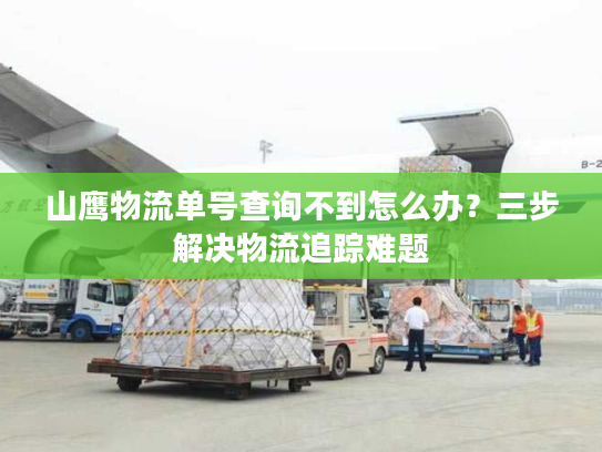 山鹰物流单号查询不到怎么办？三步解决物流追踪难题
