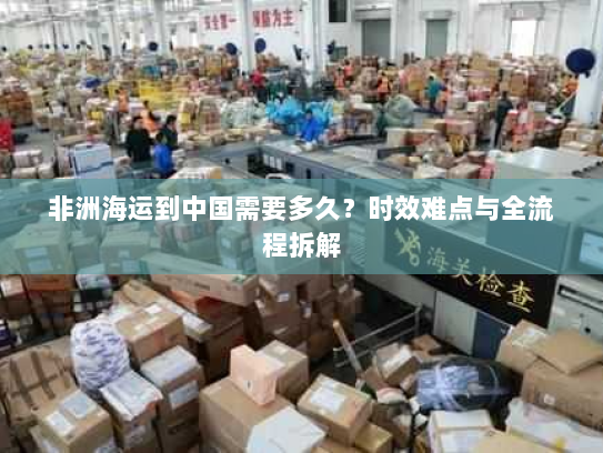 非洲海运到中国需要多久?时效难点与全流程拆解 非洲海运到中国需要多久?时效难点与全流程拆解