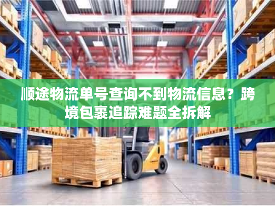 顺途物流单号查询不到物流信息？跨境包裹追踪难题全拆解