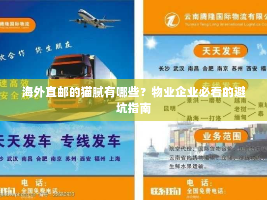 海外直邮的猫腻有哪些?物业企业必看的避坑指南 海外直邮的猫腻有哪些?物业企业必看的避坑指南