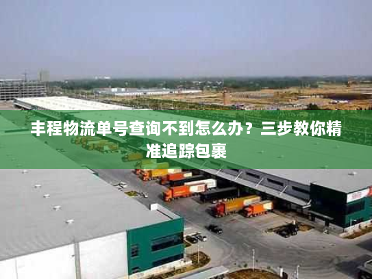 丰程物流单号查询不到怎么办？三步教你精准追踪包裹