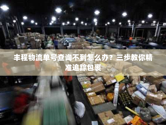 丰程物流单号查询不到怎么办？三步教你精准追踪包裹