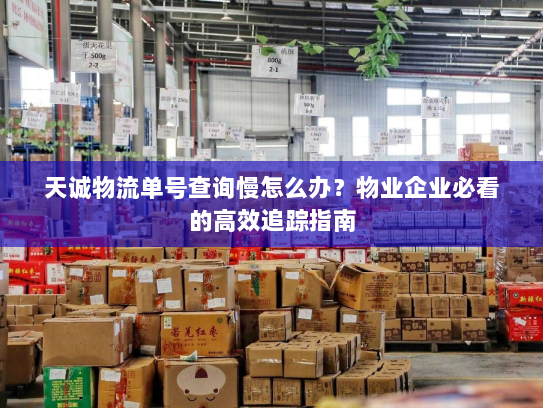 天诚物流单号查询慢怎么办?物业企业必看的高效追踪指南 天诚物流单号查询慢怎么办?物业企业必看的高效追踪指南