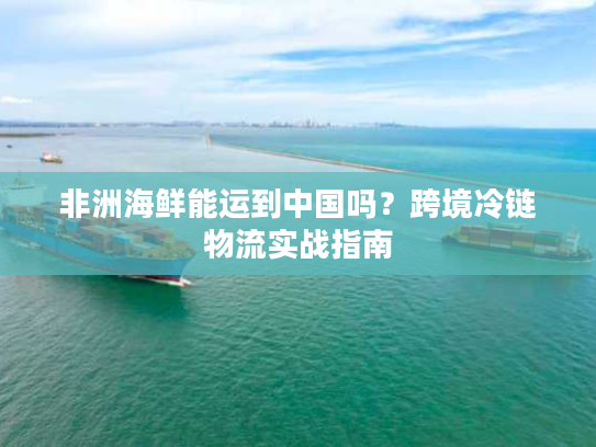 非洲海鲜能运到中国吗？跨境冷链物流实战指南