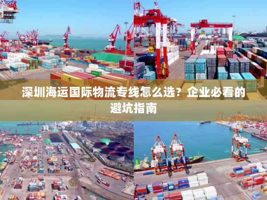 深圳海运国际物流专线怎么选?企业必看的避坑指南 深圳海运国际物流专线怎么选?企业必看的避坑指南