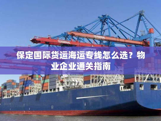 保定国际货运海运专线怎么选？物业企业通关指南