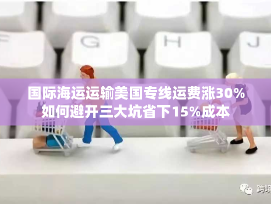 国际海运运输美国专线运费涨30%如何避开三大坑省下15%成本 国际海运运输美国专线运费涨30%如何避开三大坑省下15%成本