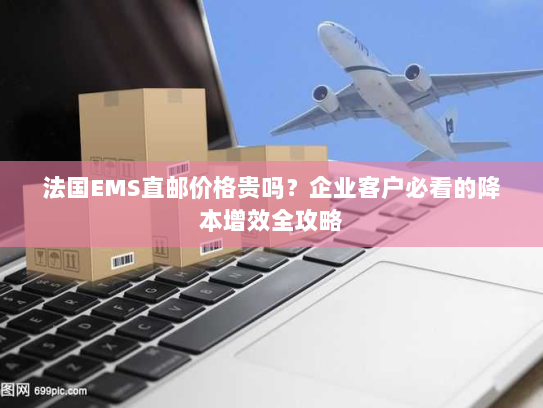 法国EMS直邮价格贵吗?企业客户必看的降本增效全攻略 法国EMS直邮价格贵吗?企业客户必看的降本增效全攻略