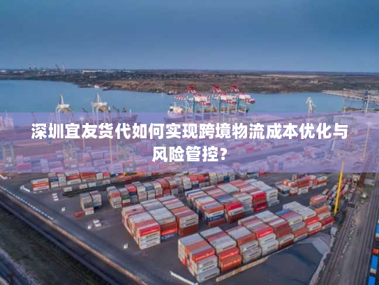 深圳宜友货代如何实现跨境物流成本优化与风险管控? 深圳宜友货代如何实现跨境物流成本优化与风险管控?