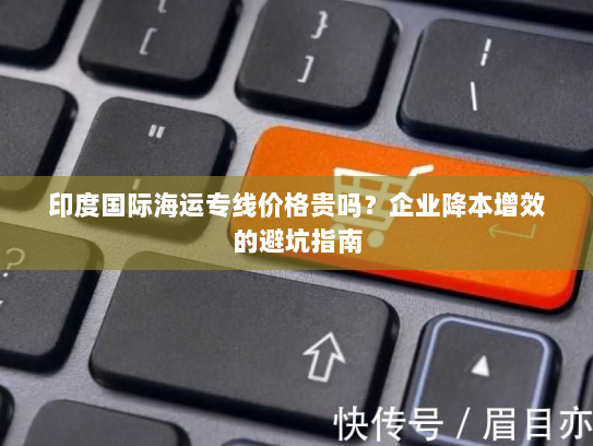 印度国际海运专线价格贵吗?企业降本增效的避坑指南 印度国际海运专线价格贵吗?企业降本增效的避坑指南