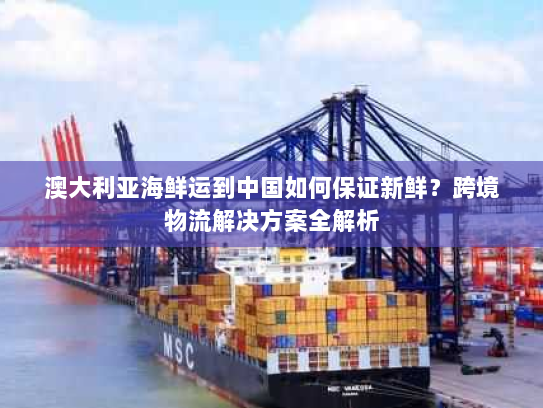 澳大利亚海鲜运到中国如何保证新鲜？跨境物流解决方案全解析