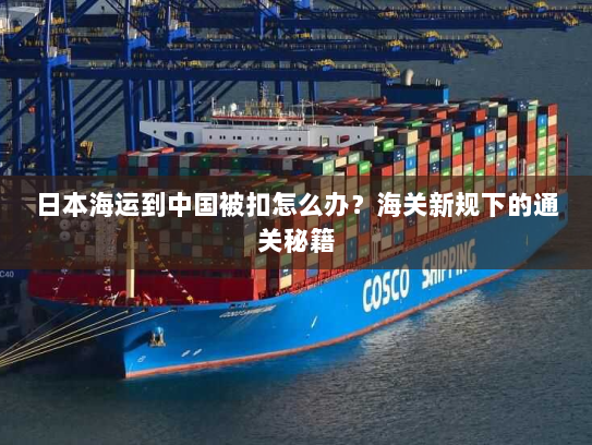 日本海运到中国被扣怎么办?海关新规下的通关秘籍 日本海运到中国被扣怎么办?海关新规下的通关秘籍
