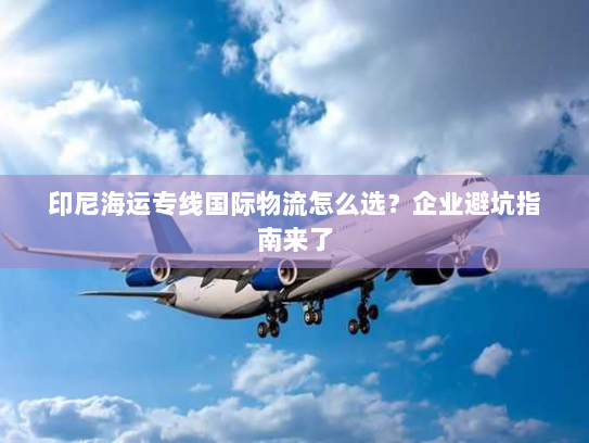 印尼海运专线国际物流怎么选?企业避坑指南来了 印尼海运专线国际物流怎么选?企业避坑指南来了