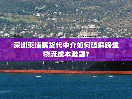 深圳柬埔寨货代中介如何破解跨境物流成本难题？