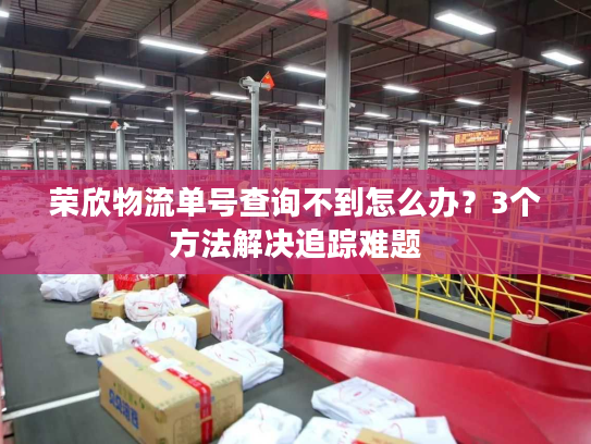 荣欣物流单号查询不到怎么办？3个方法解决追踪难题