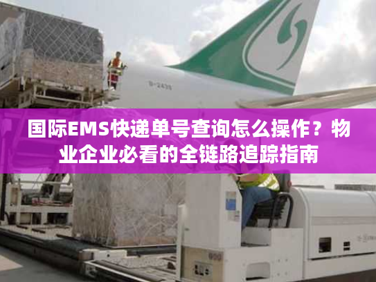 国际EMS快递单号查询怎么操作？物业企业必看的全链路追踪指南