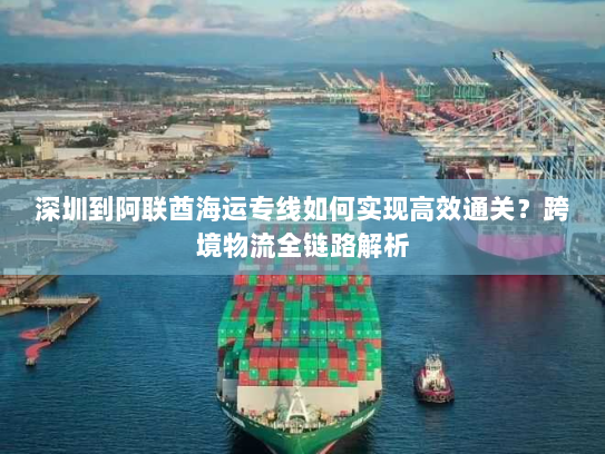 深圳到阿联酋海运专线如何实现高效通关?跨境物流全链路解析 深圳到阿联酋海运专线如何实现高效通关?跨境物流全链路解析