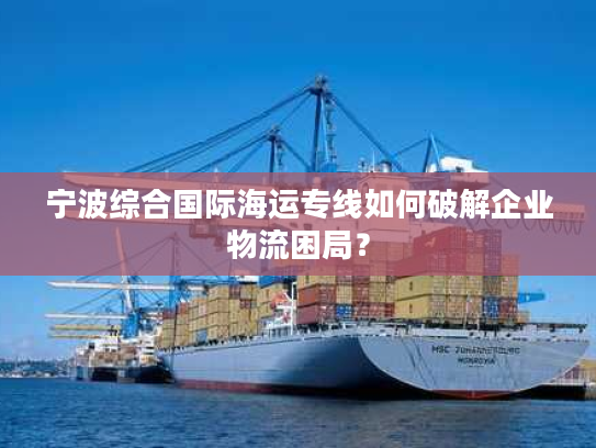 宁波综合国际海运专线如何破解企业物流困局？