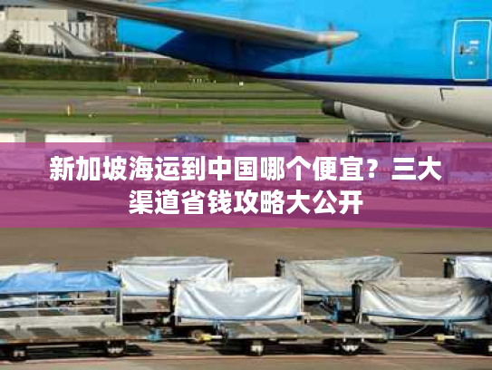 新加坡海运到中国哪个便宜？三大渠道省钱攻略大公开