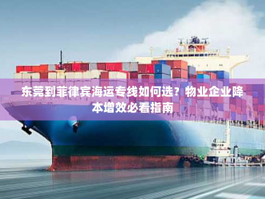 东莞到菲律宾海运专线如何选?物业企业降本增效必看指南 东莞到菲律宾海运专线如何选?物业企业降本增效必看指南