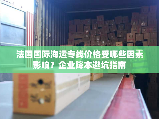 法国国际海运专线价格受哪些因素影响？企业降本避坑指南