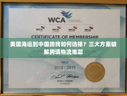 美国海运到中国路线如何选择?三大方案破解跨境物流难题 美国海运到中国路线如何选择?三大方案破解跨境物流难题