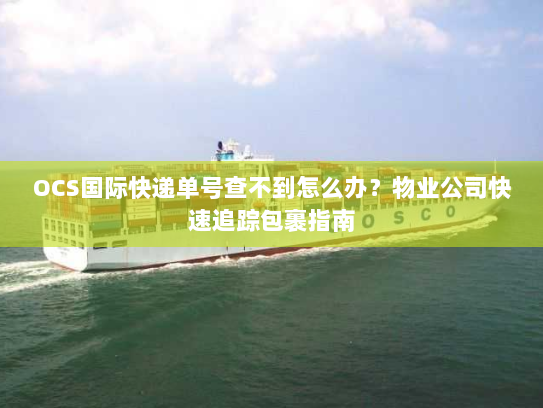 OCS国际快递单号查不到怎么办?物业公司快速追踪包裹指南 OCS国际快递单号查不到怎么办?物业公司快速追踪包裹指南