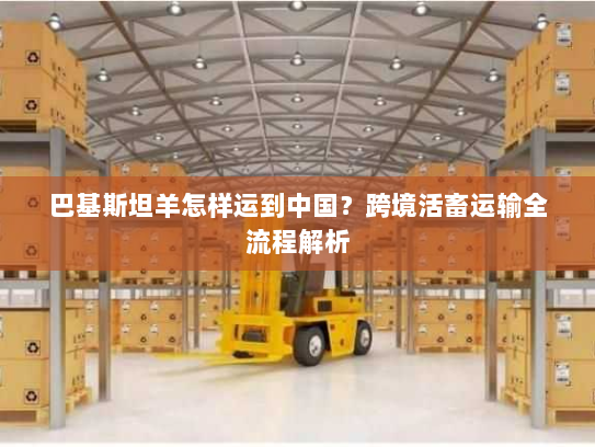 巴基斯坦羊怎样运到中国?跨境活畜运输全流程解析 巴基斯坦羊怎样运到中国?跨境活畜运输全流程解析