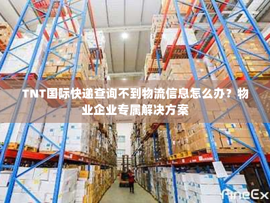 TNT国际快递查询不到物流信息怎么办？物业企业专属解决方案
