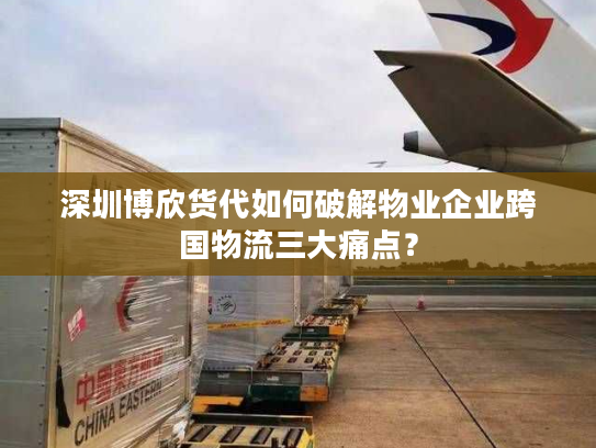 深圳博欣货代如何破解物业企业跨国物流三大痛点？