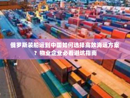 俄罗斯装船运到中国如何选择高效海运方案?物业企业必看避坑指南 俄罗斯装船运到中国如何选择高效海运方案?物业企业必看避坑指南