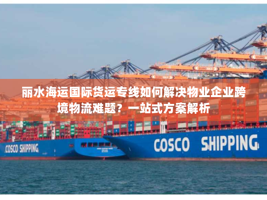 丽水海运国际货运专线如何解决物业企业跨境物流难题？一站式方案解析