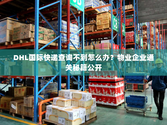 DHL国际快递查询不到怎么办?物业企业通关秘籍公开 DHL国际快递查询不到怎么办?物业企业通关秘籍公开