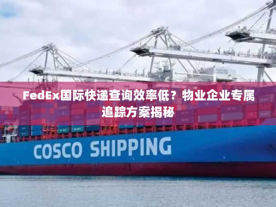 FedEx国际快递查询效率低?物业企业专属追踪方案揭秘 FedEx国际快递查询效率低?物业企业专属追踪方案揭秘