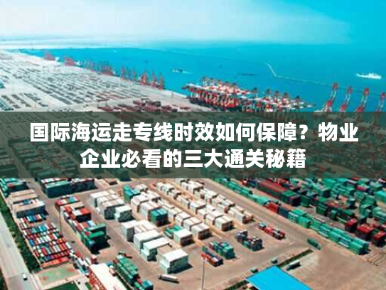 国际海运走专线时效如何保障？物业企业必看的三大通关秘籍